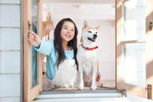 愛猫の健康を守る！ロイヤルカナンの療法食完全ガイド